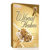 Manufacturers Exporters and Wholesale Suppliers of Wheat Flakes Rajkot Gujarat